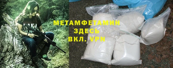 прущие грибы Беломорск