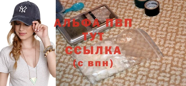 прущие грибы Беломорск