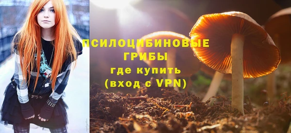 прущие грибы Беломорск