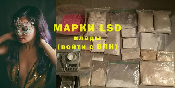 прущие грибы Беломорск