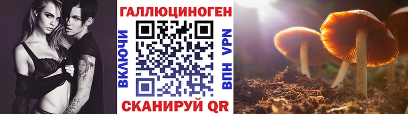 Псилоцибиновые грибы мицелий  Ершов 